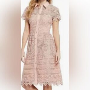 ANTONIO MELANI NWT size 14 beautiful Lace Midi Dress.